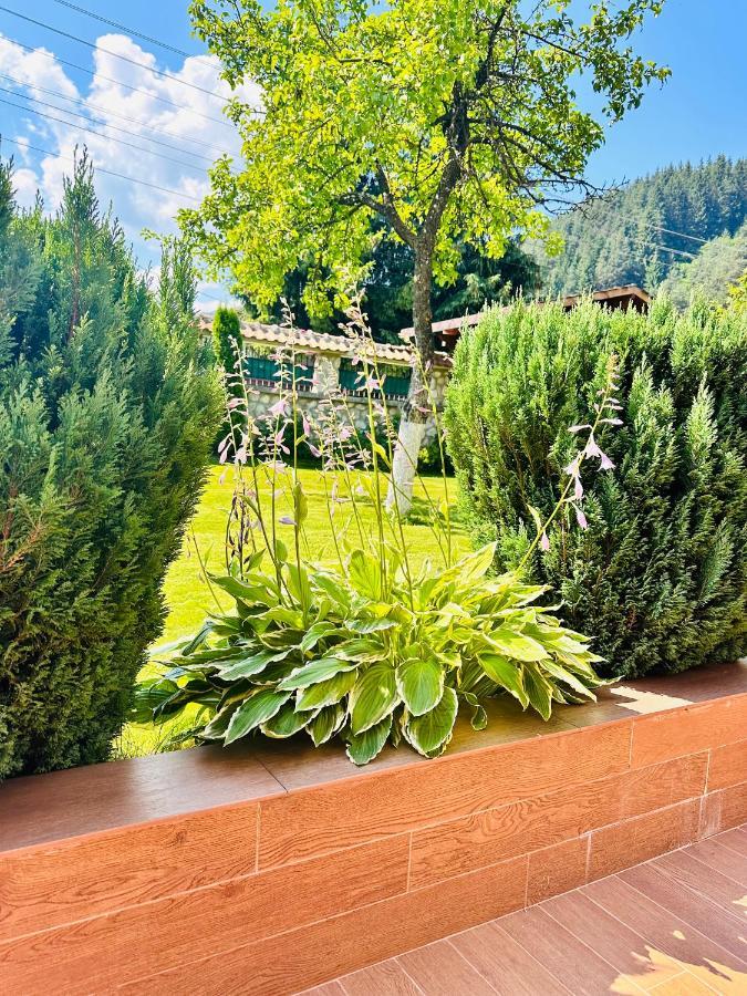 Villa Rila Garden Beli Iskar Exterior photo